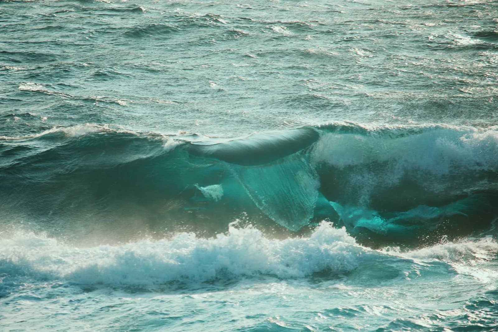 Wind-driven waves with white foam crests and spray blowing off a rough sea