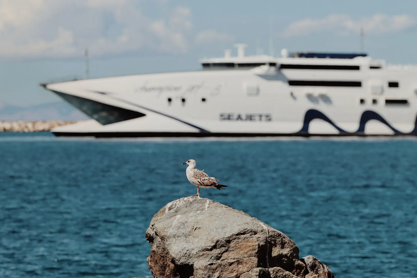 A white SeaJets high-speed catamaran, the Champion Jet 3, in a Greek harbour, with a seagull on a rock in the foreground