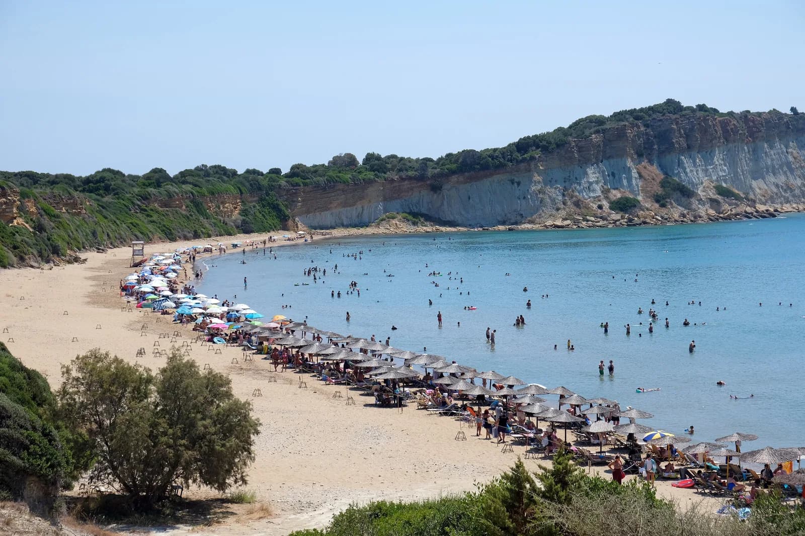 Gerakas beach at the tip of the Vasilikos peninsula, Zakynthos, a curve of golden sand with parasols in rows along the water, wooden turtle nest cages on the sand behind them and pale clay cliffs beyond