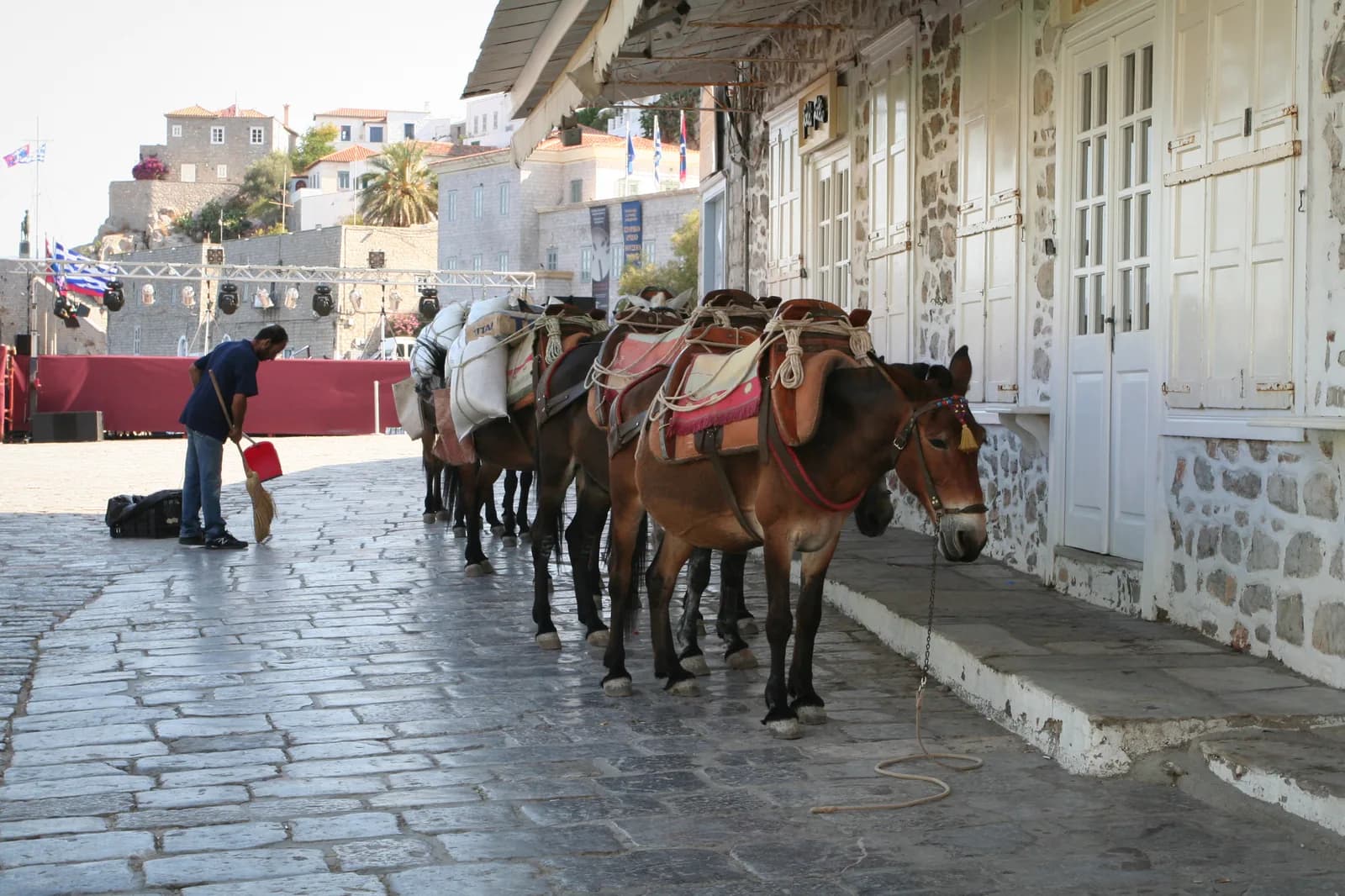 Pack mules carrying luggage and supplies on Hydra's harbour front