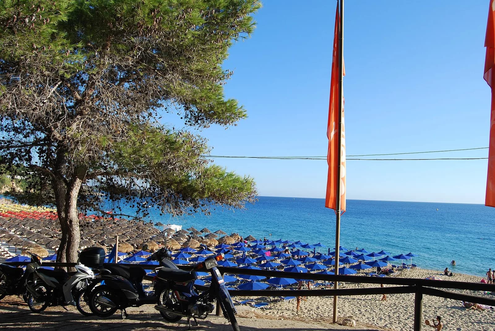 Rows of blue sunbeds and straw parasols on the sand at Makris Gialos beach in Lassi, Kefalonia, with pine trees above the beach and scooters parked on the path