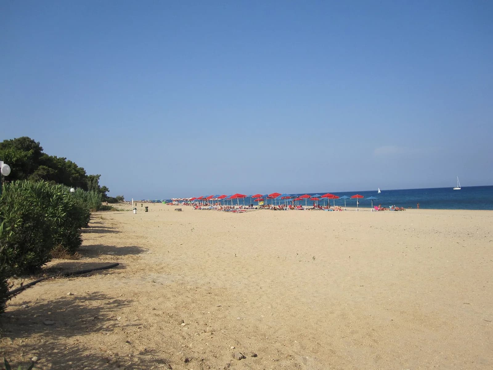 The long sand beach at Skala in the south-east of Kefalonia, a line of red and blue parasols at the far end and pine woods running down to the back of the beach