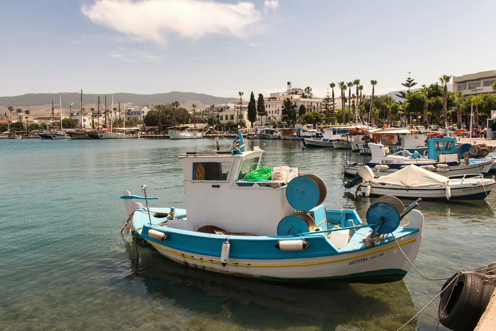 Fishing boats moored in the harbour at Kos Town, with the palm-lined waterfront and the hills of the Dikeos ridge behind