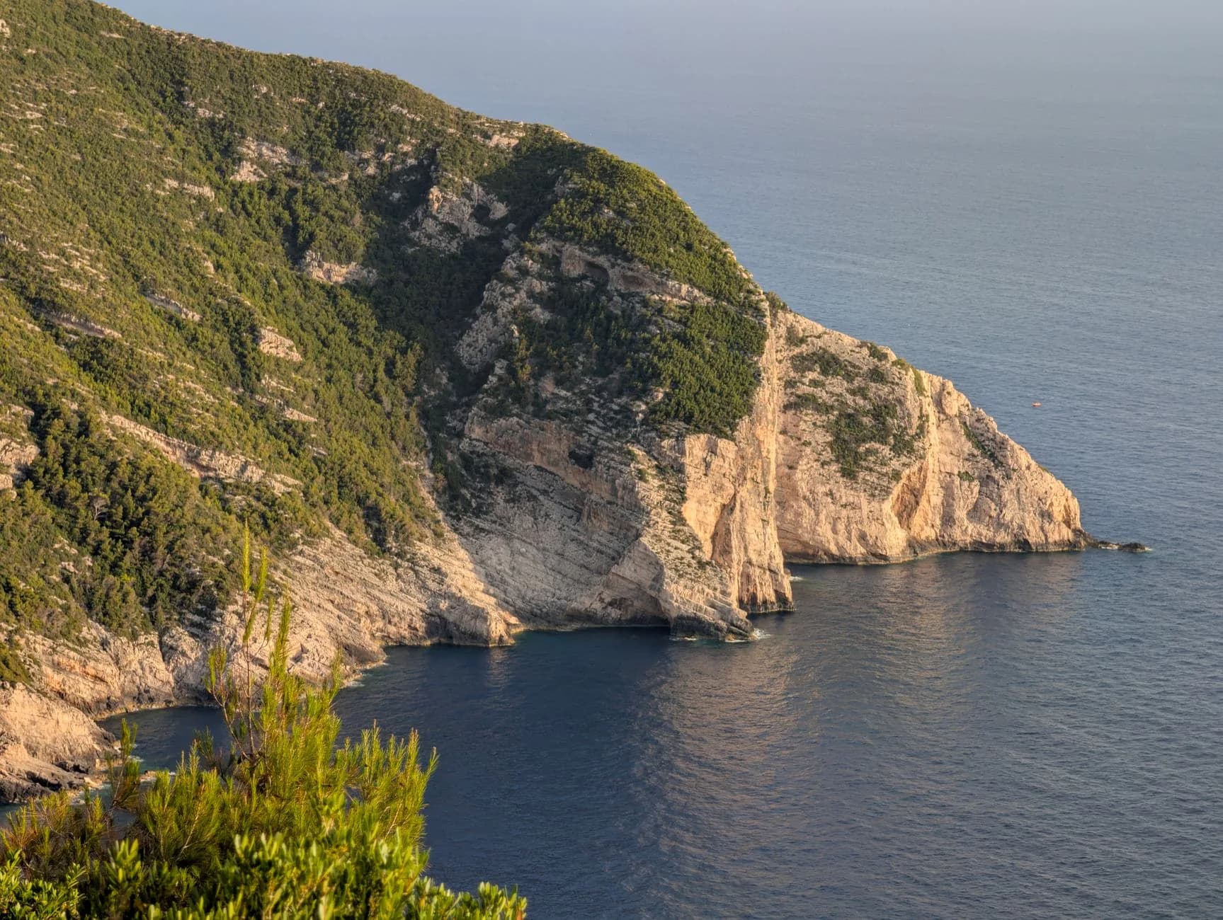 The west coast of Zakynthos seen from the clifftop, a wooded ridge ending in a sheer white limestone wall that drops straight into deep water