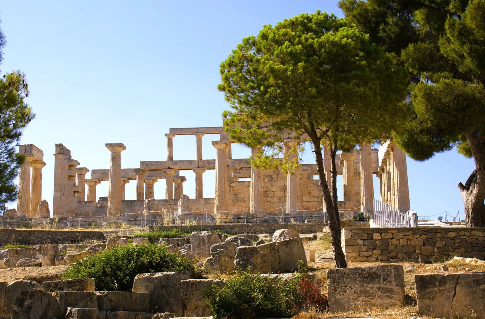 The Doric columns of the Temple of Aphaia on Aegina, framed by Aleppo pines on the hilltop